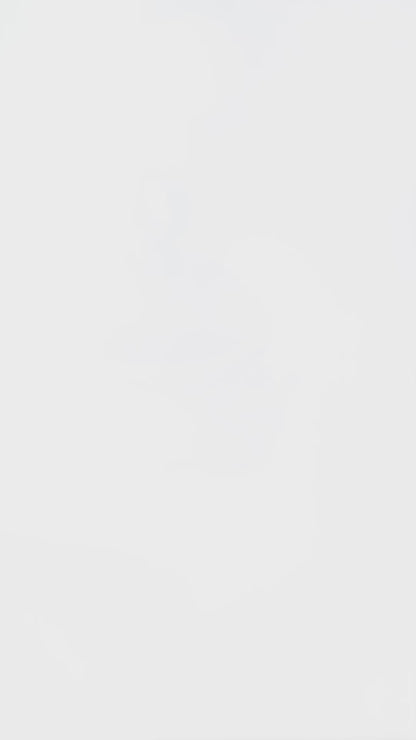 Bebek® 3-Layer Baby Food & Milk Powder Container